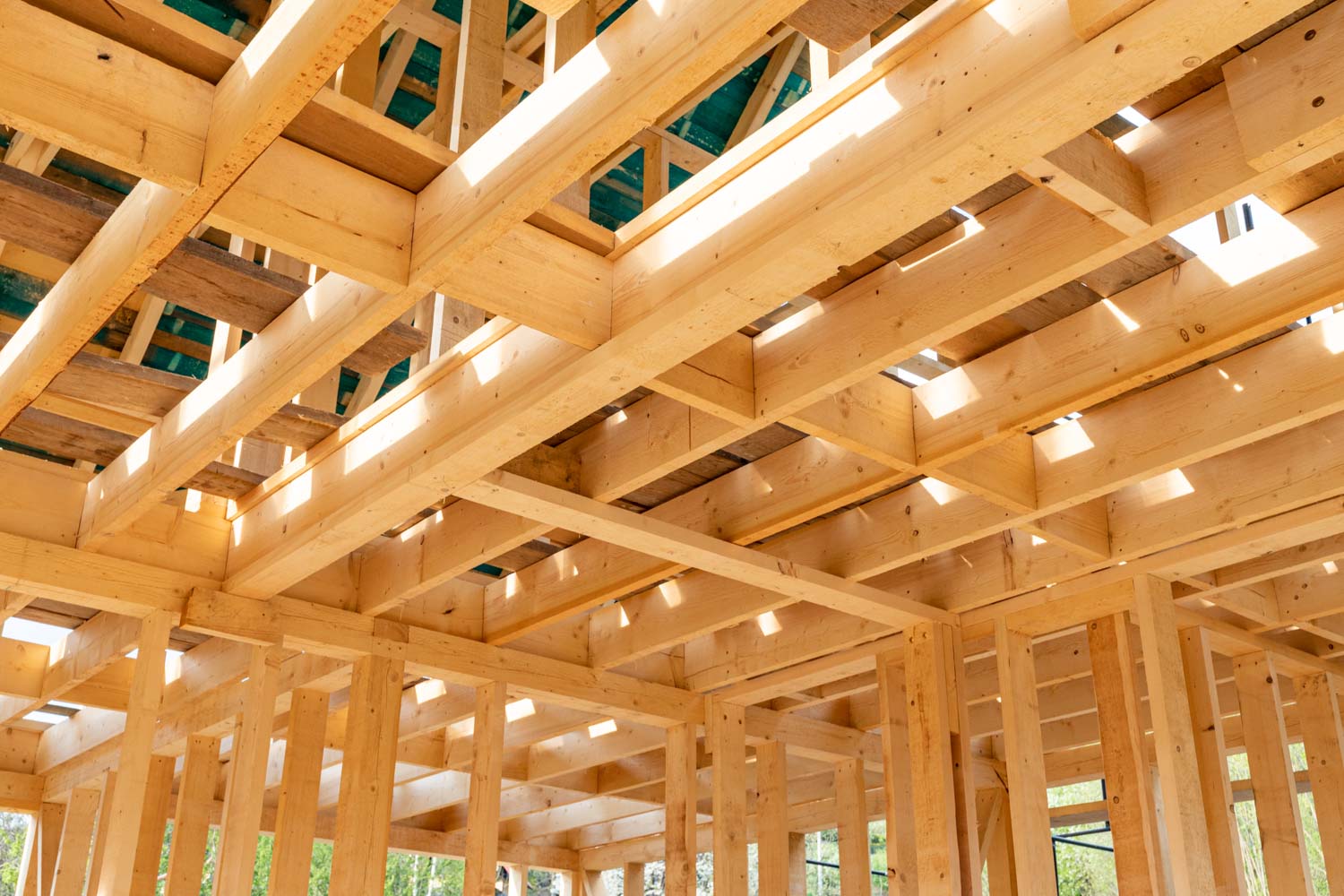 Timber Structural Analysis and Design
