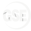 Logo_GSE Software